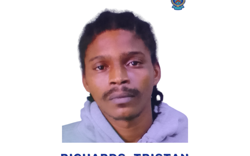 Tristan Richards Sentenced for Firearm and  Ammunition Offences