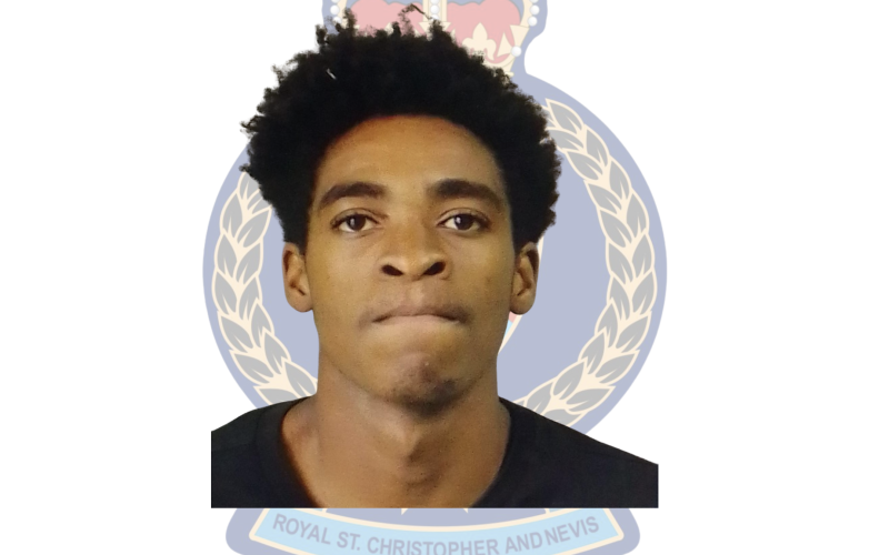 Brandon Freeman Charged for House Breaking And Larceny