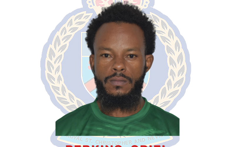 Oriel Perkins Charged for Multiple Offences