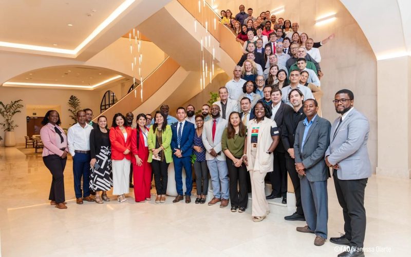 Regional Capacity Building and Peer Exchange on the 2026 UNCCD National Reporting for Latin America and the Caribbean