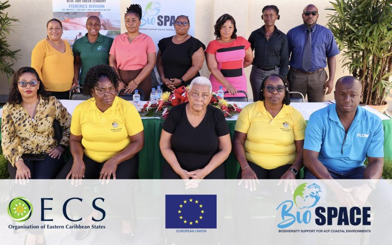 OECS and EU Support Fishers with Ice Coolers in Dominica