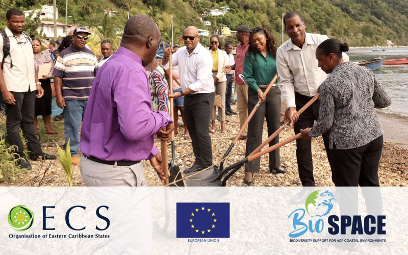 OECS Launches New Wastewater Project to Protect Marine Life in Dominica