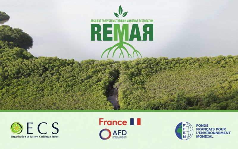 REMAR Project Launched to Restore OECS Mangroves