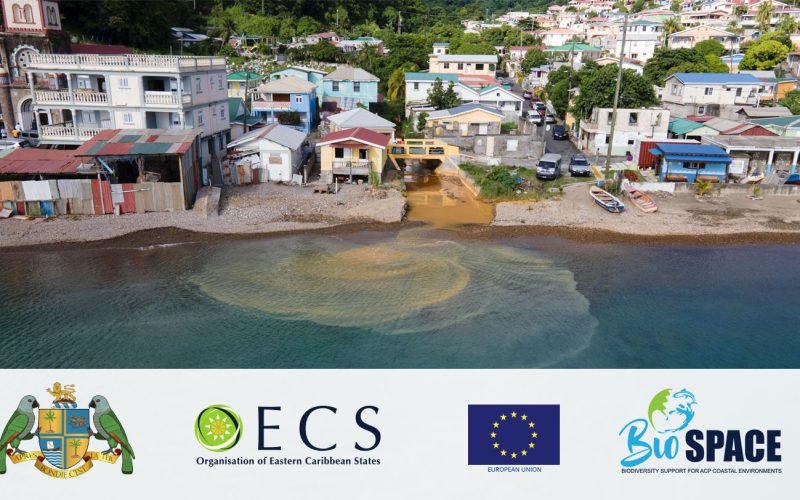 OECS Engages Sauce Community ahead of BioSPACE Environmental Works