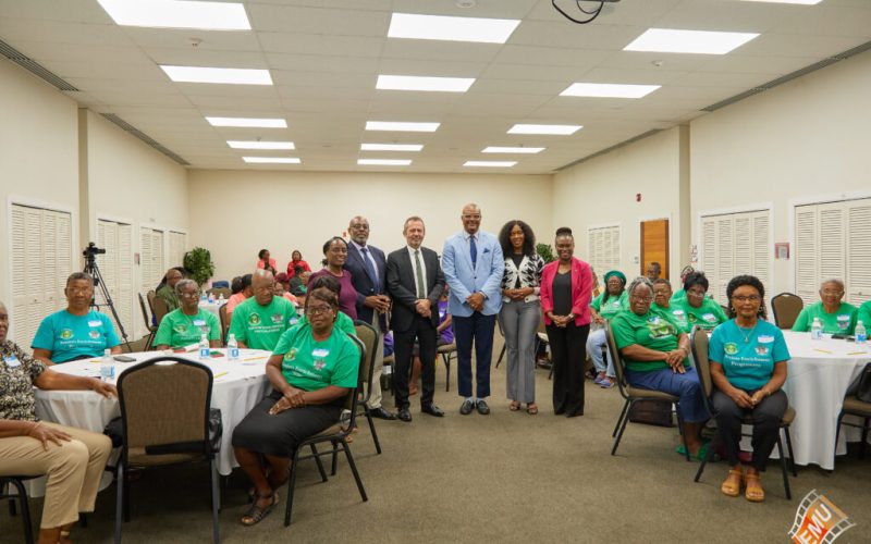 UNESCO Cybersecurity Workshop Brings Regional Stakeholders Together in St. Kitts And Nevis