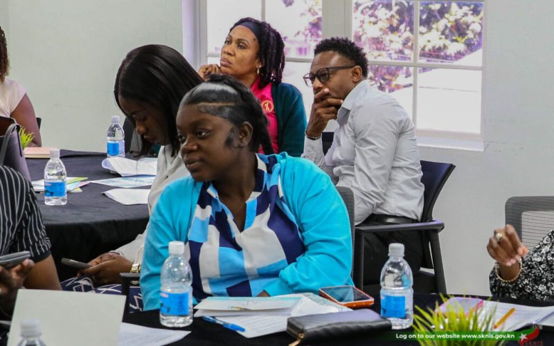 Government Convenes Policy Review for New Youth Economic Empowerment Bureau