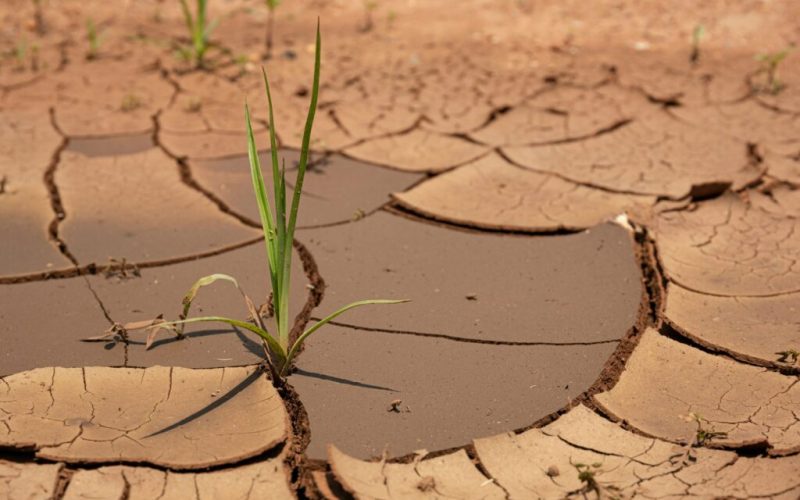 St Kitts and  Nevis Under  Drought  Warning Amid  Below -Normal Rainfall Forecast