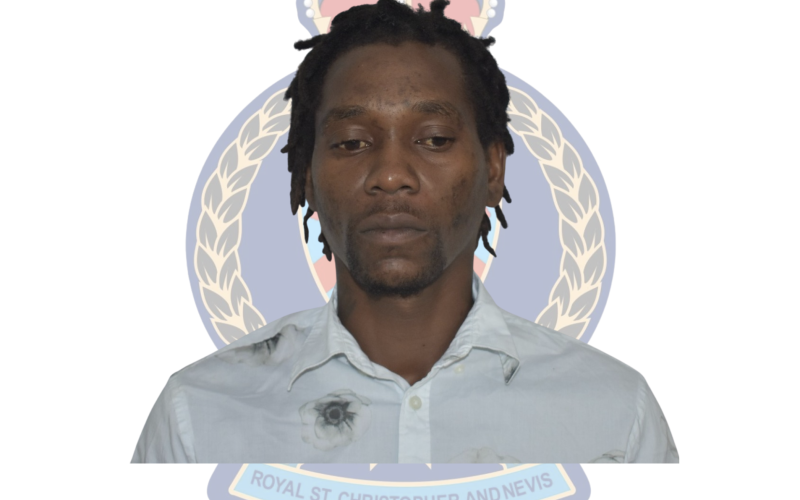 Multiple Traffic Offences Laid Against Shem Browne