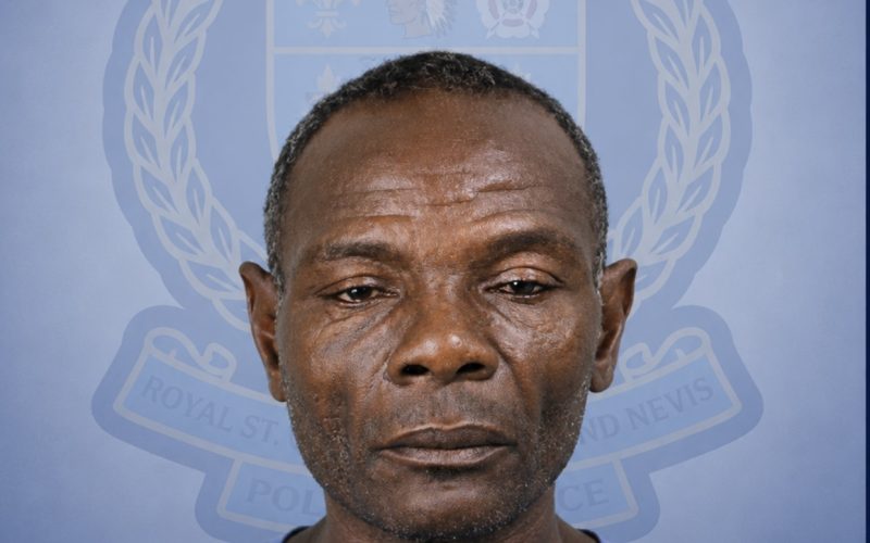 Domingo Louis Charged with Larceny