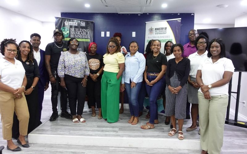 Ministry  of Small  Business & Entreneurship Launches  Financial  Management Training  Programme  for Entreneurs