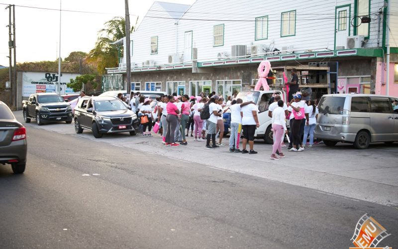 Ministry of Education Joins Reach for Recovery as it Raises Breast Cancer Awareness Through its Annual Glow Walk.