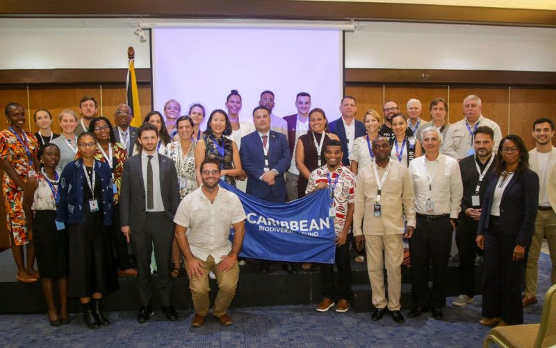 Caribbean Advances Coordinated Ocean Action and Finance at Our Ocean Conference