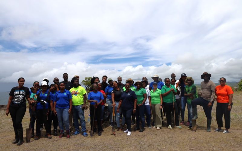 Fire-Prone Land at Point Vierge, Micoud, Benefited from Replanting Activity for OECS 45th Anniversary