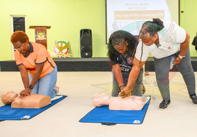 Football :  SKNFA Safeguarding and First Aid Training Hailed a Success